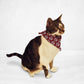 Paw Print Sweater Cat & Dog Bandana