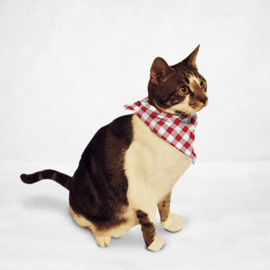 Retro Tablecloth Cat & Dog Bandana